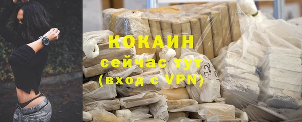ГАЛЛЮЦИНОГЕННЫЕ ГРИБЫ Костерёво