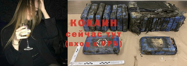 стаф Коряжма