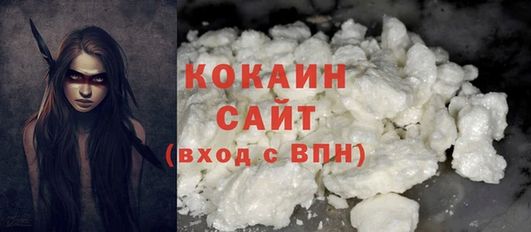 ГАЛЛЮЦИНОГЕННЫЕ ГРИБЫ Костерёво