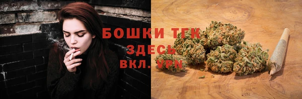 индика Корсаков
