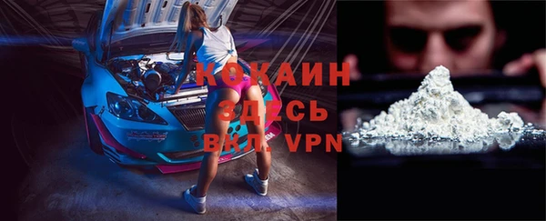стаф Коряжма