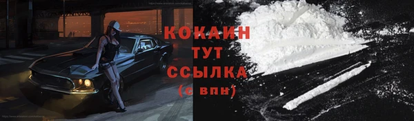 стаф Коряжма