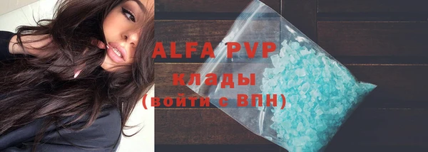 индика Корсаков