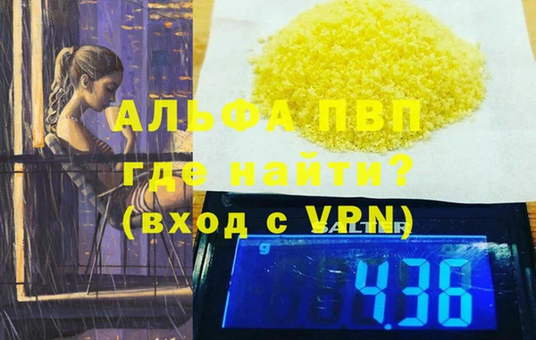 индика Корсаков