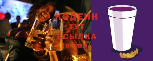 стаф Коряжма