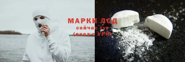 стаф Коряжма