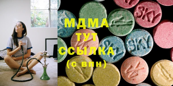 индика Корсаков