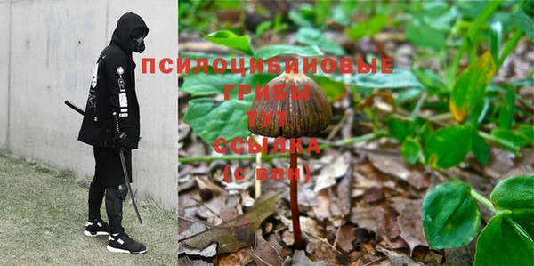 индика Корсаков
