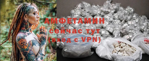 ГАЛЛЮЦИНОГЕННЫЕ ГРИБЫ Костерёво