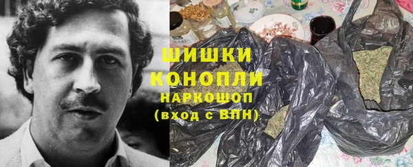 ГАЛЛЮЦИНОГЕННЫЕ ГРИБЫ Костерёво