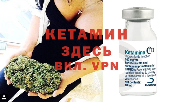 стаф Коряжма