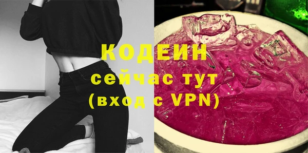 индика Корсаков