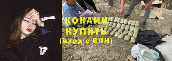 индика Корсаков