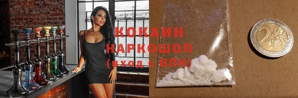 индика Корсаков