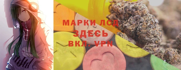 индика Корсаков