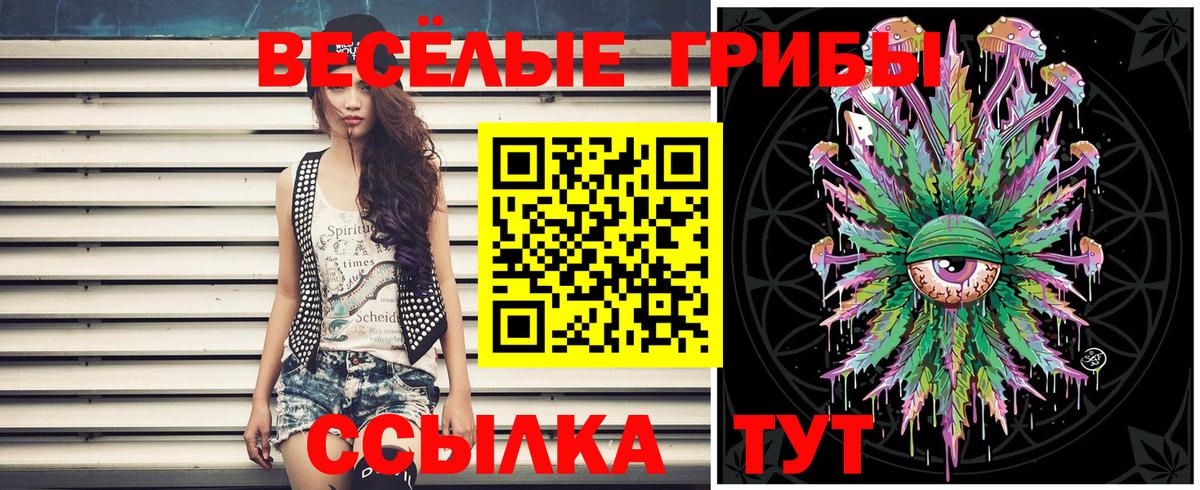 Галлюциногенные грибы прущие грибы  Галлюциногенные грибы ЛСД  Каменск-Уральский 