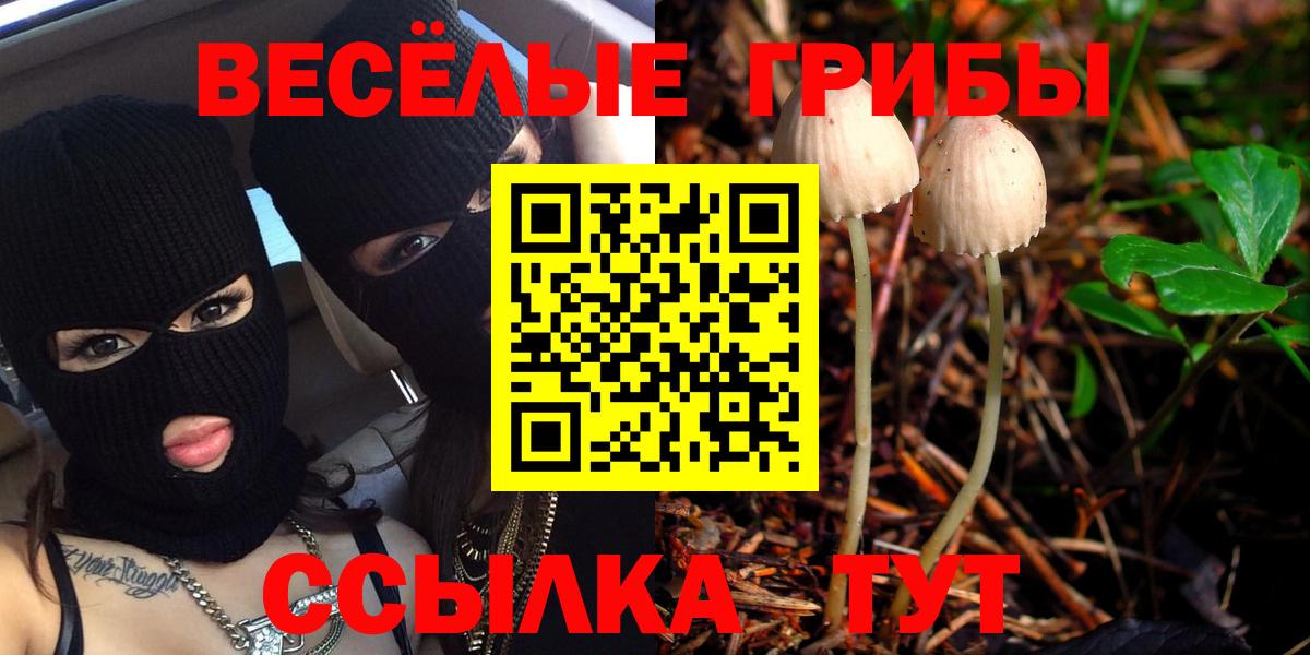 купить  сайты  Вход с VPN  Каменск-Уральский  Галлюциногенные грибы GOLDEN TEACHER 